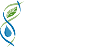 CREAw